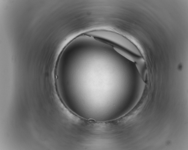 X0000091970959200709131335