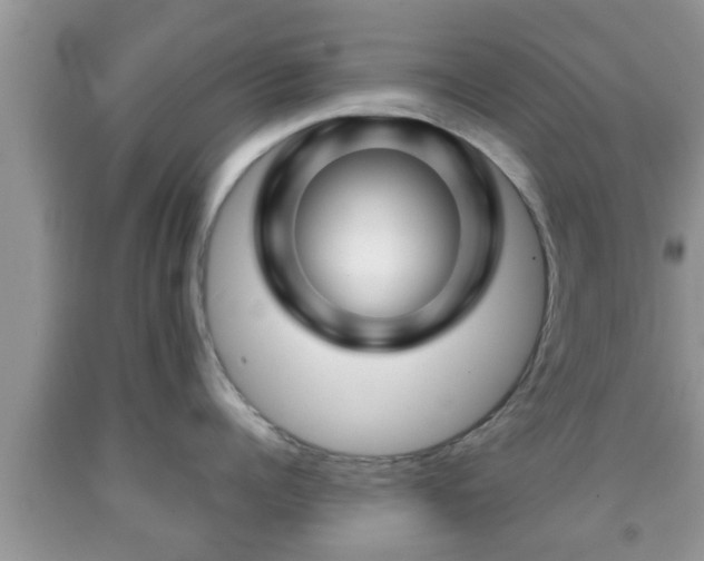 X0000091970960200709131335