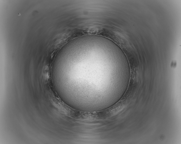 X0000091970962200709131334
