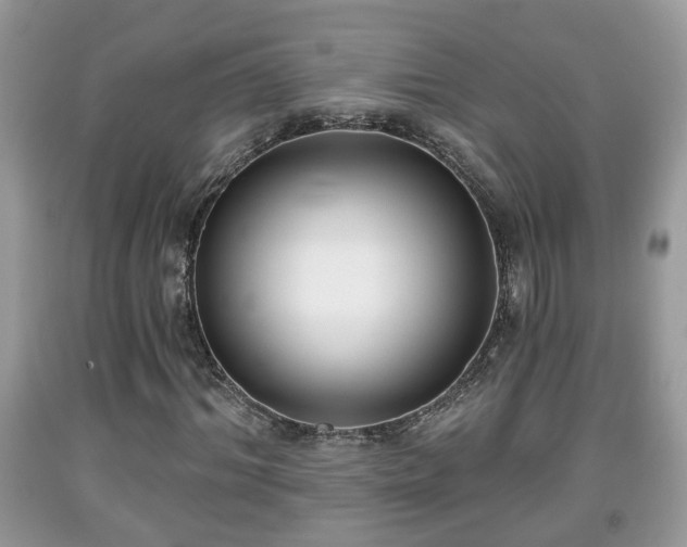 X0000091970964200709131334