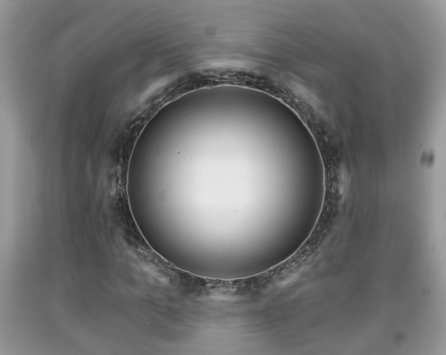 X0000091970965200709131334