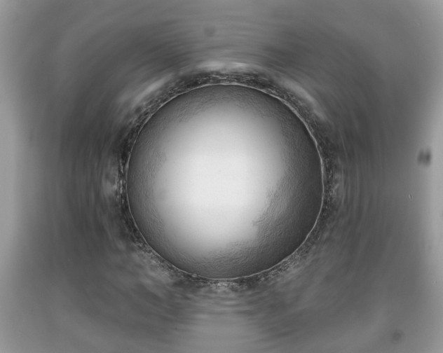 X0000091970966200709131334