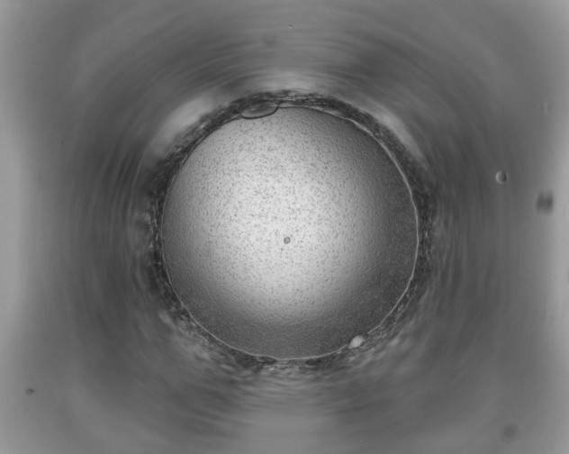 X0000091970967200709131334