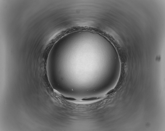 X0000091970968200709131334