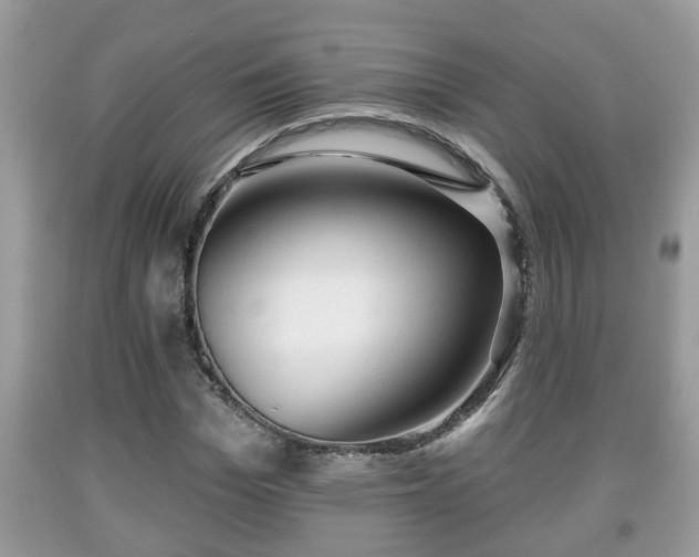 X0000091970969200709131334