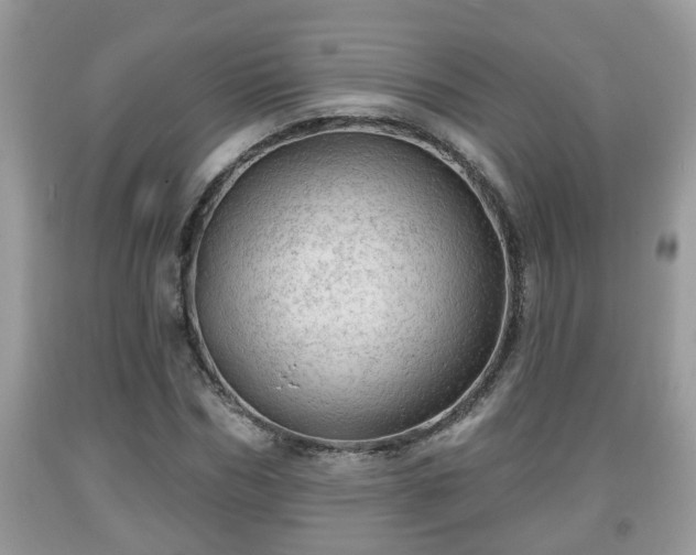 X0000091970970200709131334