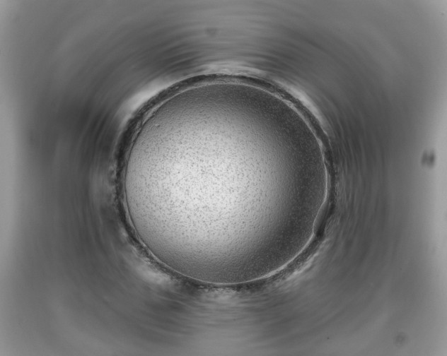 X0000091970971200709131334