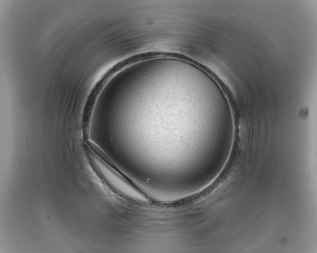 X0000091970972200709131334