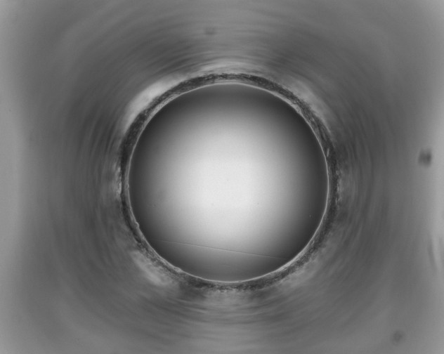 X0000091970973200709131334