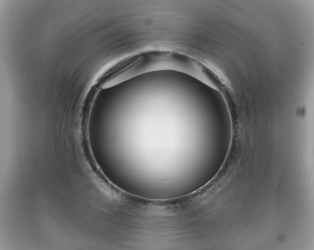 X0000091970976200709131334