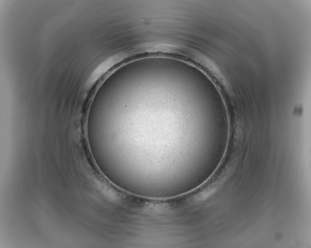 X0000091970978200709131334