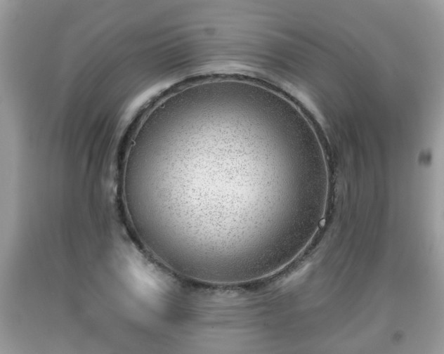 X0000091970979200709131334