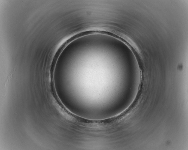 X0000091970980200709131334
