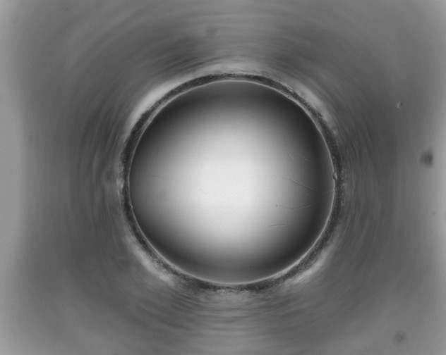 X0000091970981200709131334