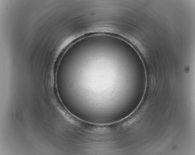 X0000091970982200709131334