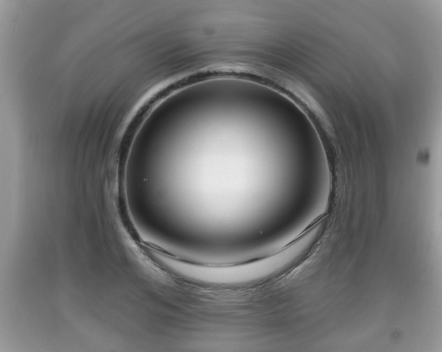 X0000091970984200709131334