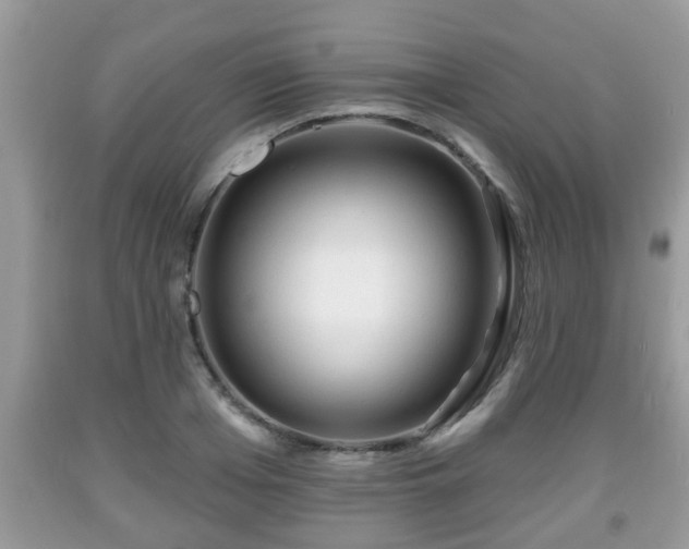 X0000091970985200709131334