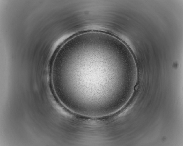 X0000091970987200709131334