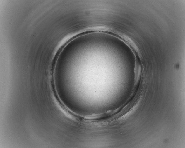 X0000091970989200709131334