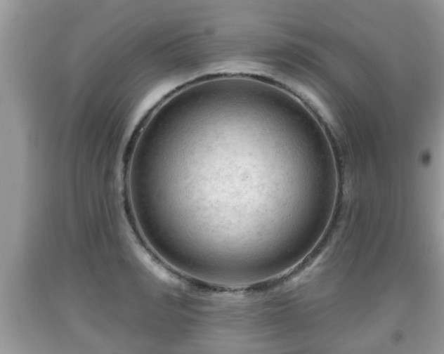 X0000091970990200709131334