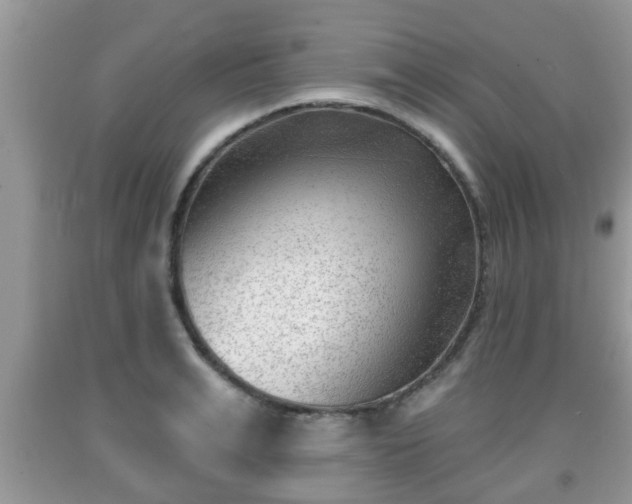 X0000091970991200709131334