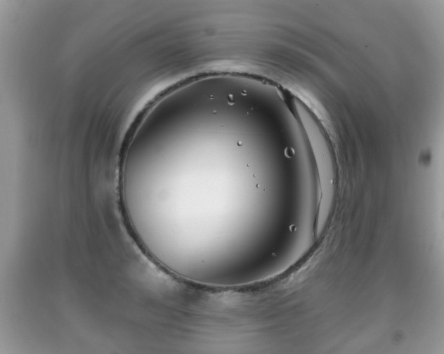 X0000091970992200709131334