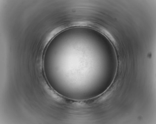 X0000091970994200709131334
