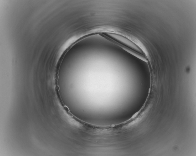 X0000091970997200709131334