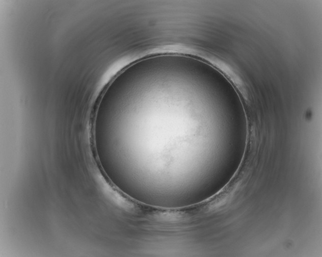 X0000091970998200709131334
