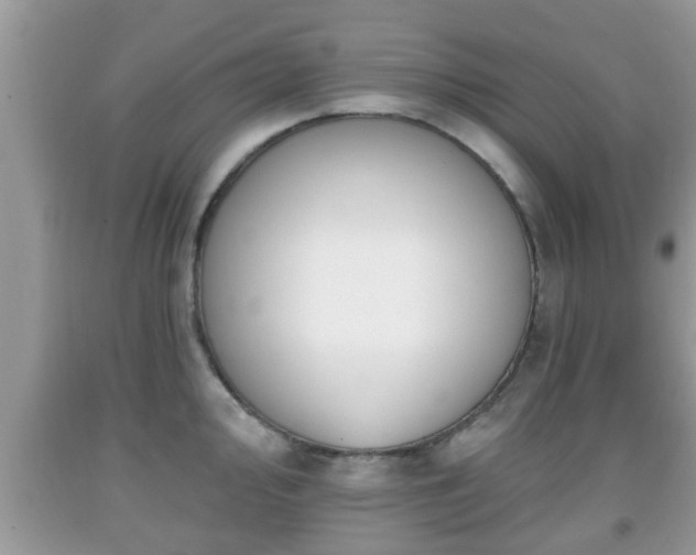 X0000091971000200709131334