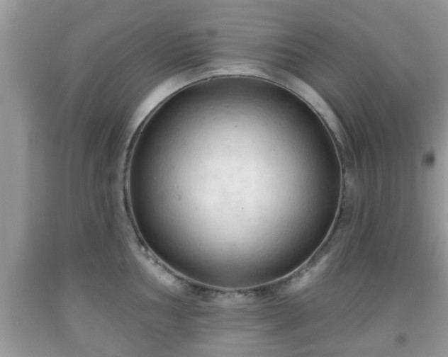X0000091971002200709131334