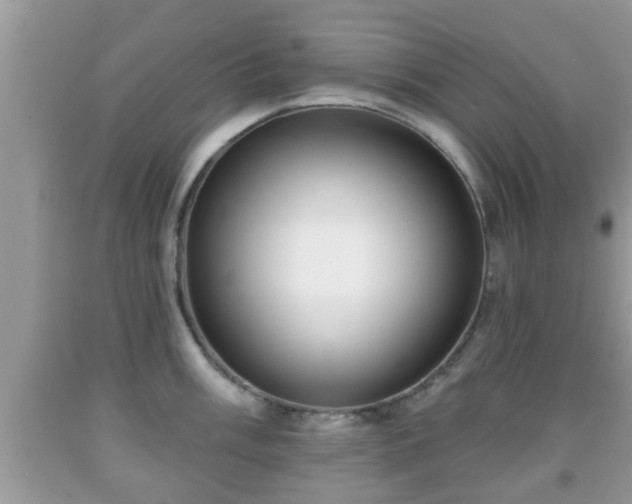 X0000091971003200709131334