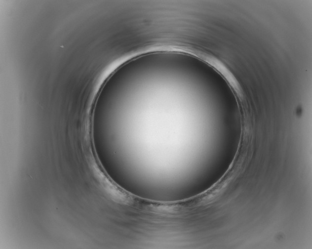 X0000091971004200709131334