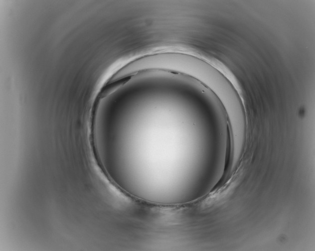 X0000091971005200709131334