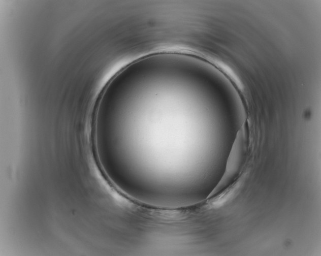 X0000091971007200709131334