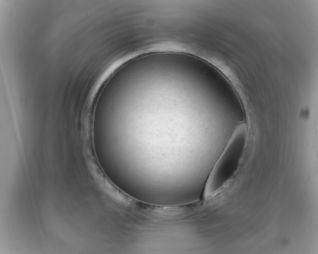 X0000091971008200709131334