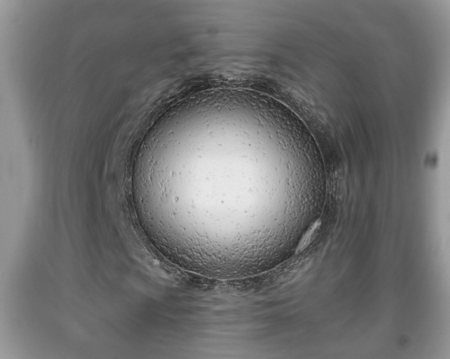 X0000091971009200709131333