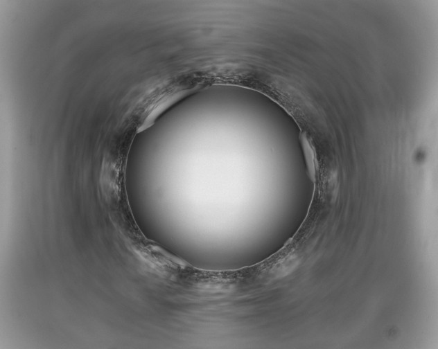 X0000091971010200709131333