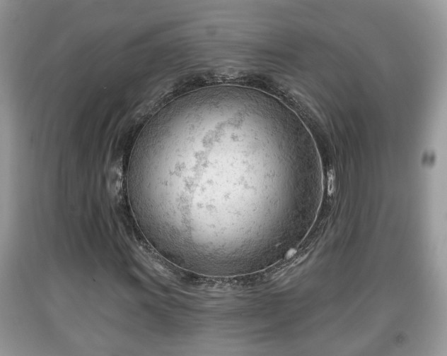 X0000091971011200709131333