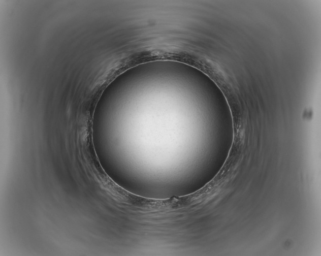 X0000091971012200709131333