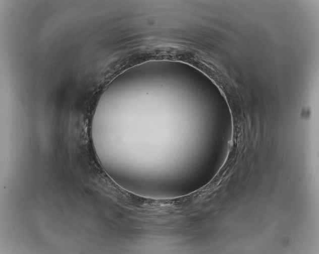 X0000091971013200709131333