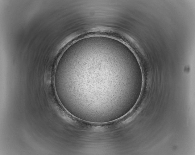 X0000091971017200709131333
