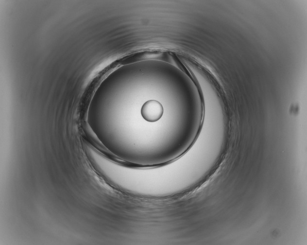 X0000091971018200709131333