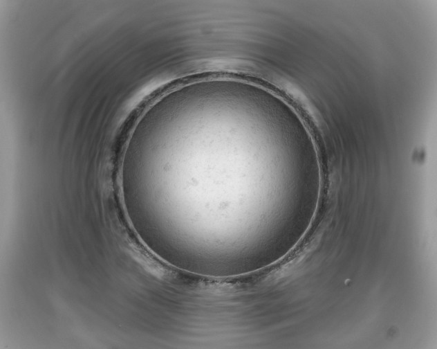 X0000091971019200709131333
