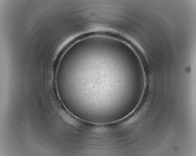 X0000091971021200709131333