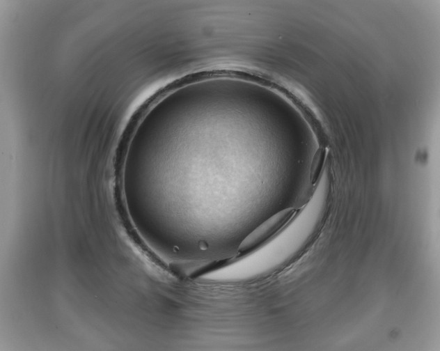 X0000091971024200709131333