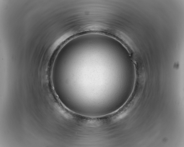 X0000091971026200709131333
