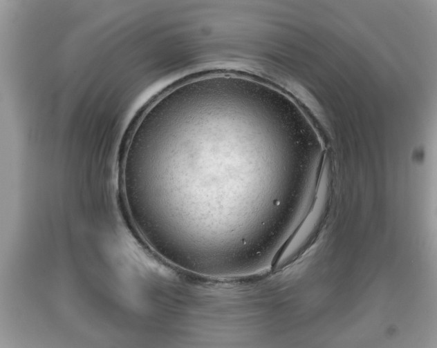 X0000091971028200709131333