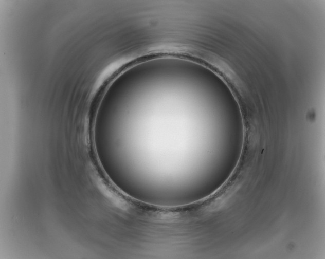 X0000091971030200709131333
