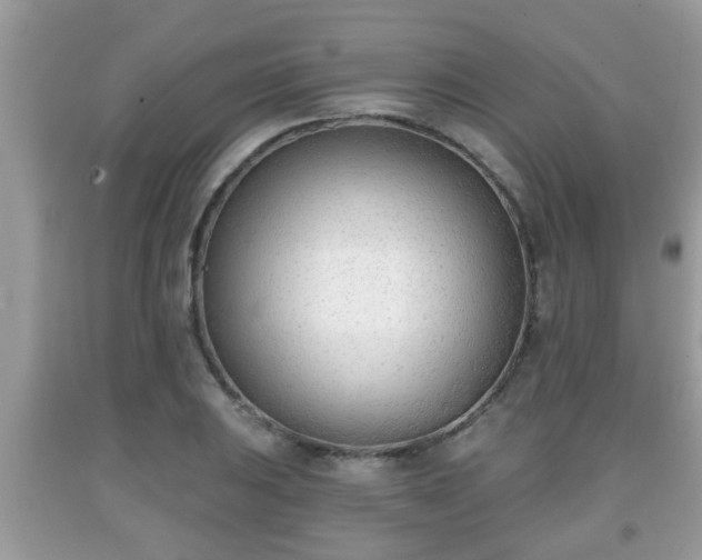 X0000091971031200709131333